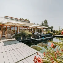 Terrasse und Teich Fliedertreiberei